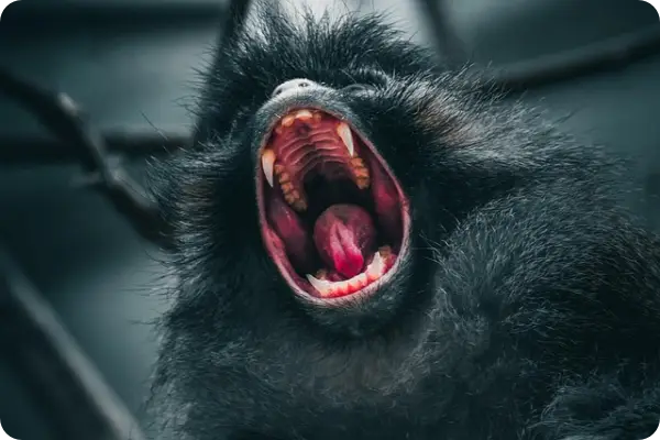 차상위계층 조건