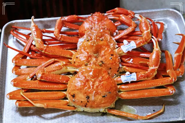 영덕 대게 홍게 활어회 문어숙회 물회 해상공원 옆 오션 바다 뷰 횟집 영덕 강구 맛집