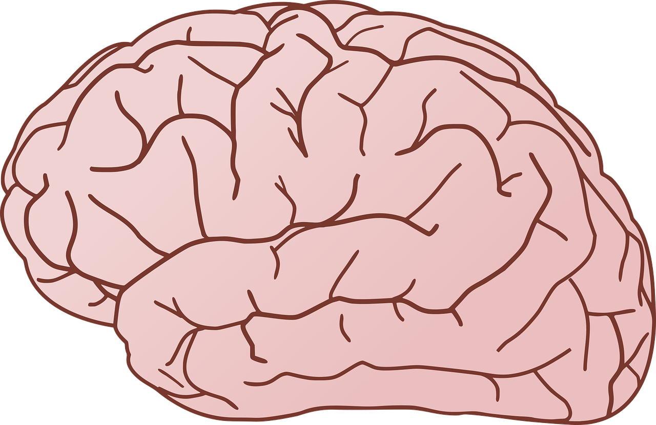 수두증관련사진