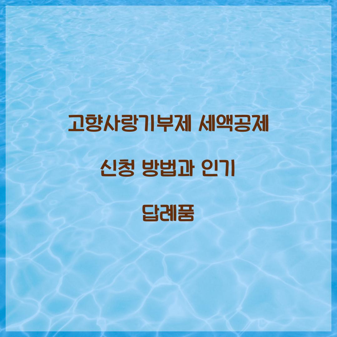 고향사랑기부제 세액공제