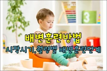 강아지 배변훈련 쉬운 단계 배변패드 위치 옮기는 법_19