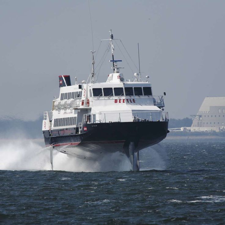 대마도 당일여행