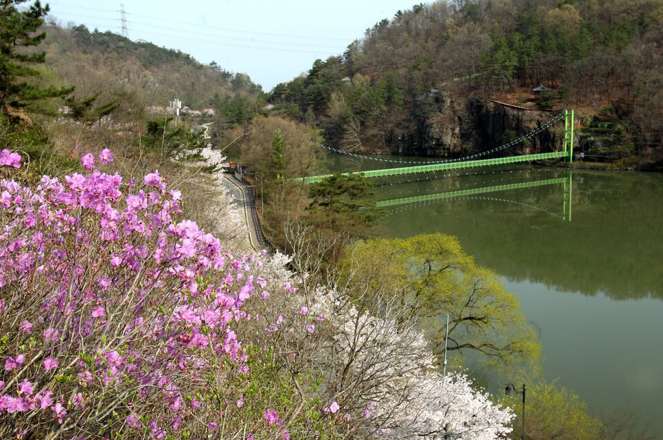 2025 함안 청보리 작약축제 일정, 위치, 볼거리 총정리(5/9~5/11)