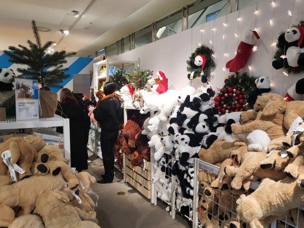 더현대-대구-이케아3