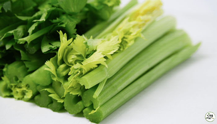 샐러리가 길쭉한 크기로 잘려서 가지런히 놓여있다