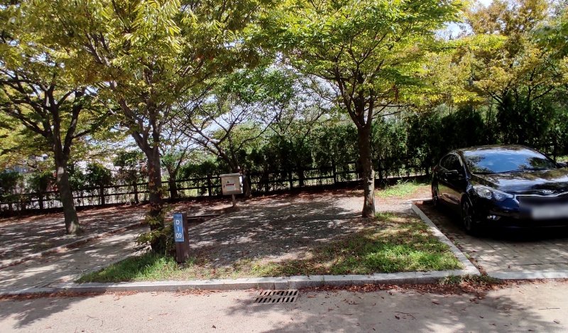 D-09사이트