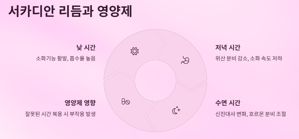 왜 저녁 복용이 문제가 될까?