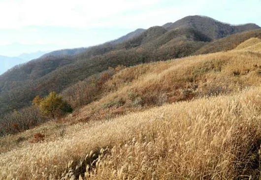 장안산