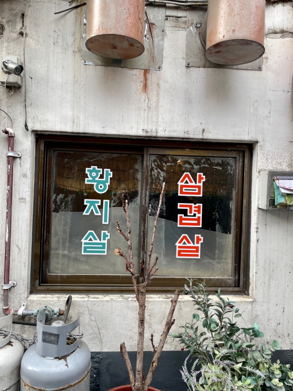 상록수