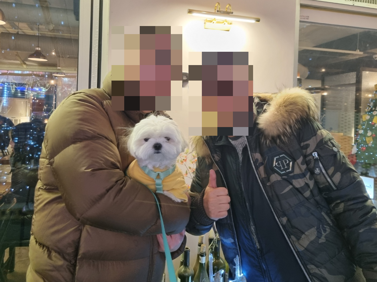 애견동반맛집