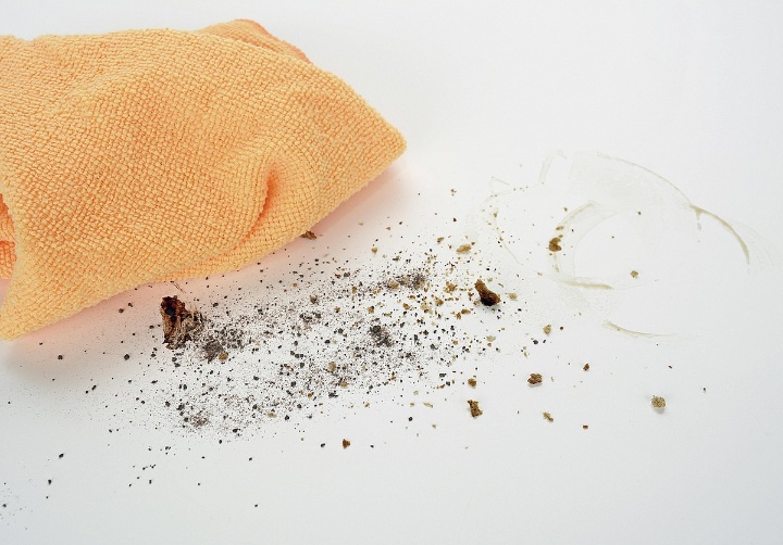 생활환경 위생이 줄지 않는 집의 ‘청소 후 행동’