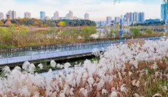 광교호수공원
