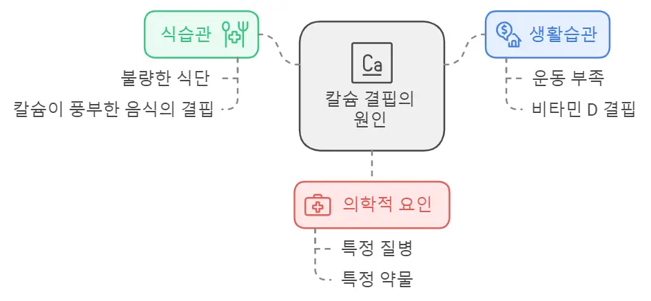 칼슘 결핍 원인