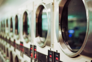 빈대 셀프 방역 방법의 장점&amp;#44; 단점&amp;#44; 주의 사항