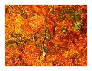 7080 무료음악듣기