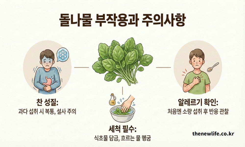 돌나물 효능 부작용