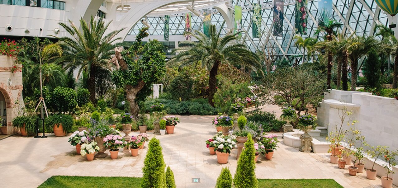 비오는날 가기좋은 곳-서울식물원