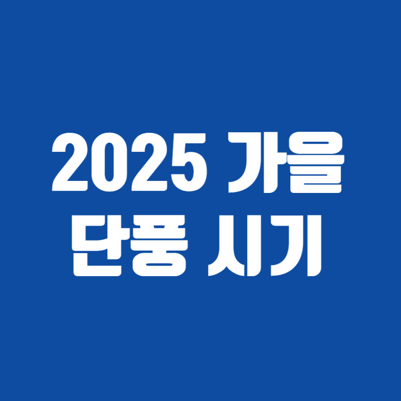 2025 가을 단풍 시기