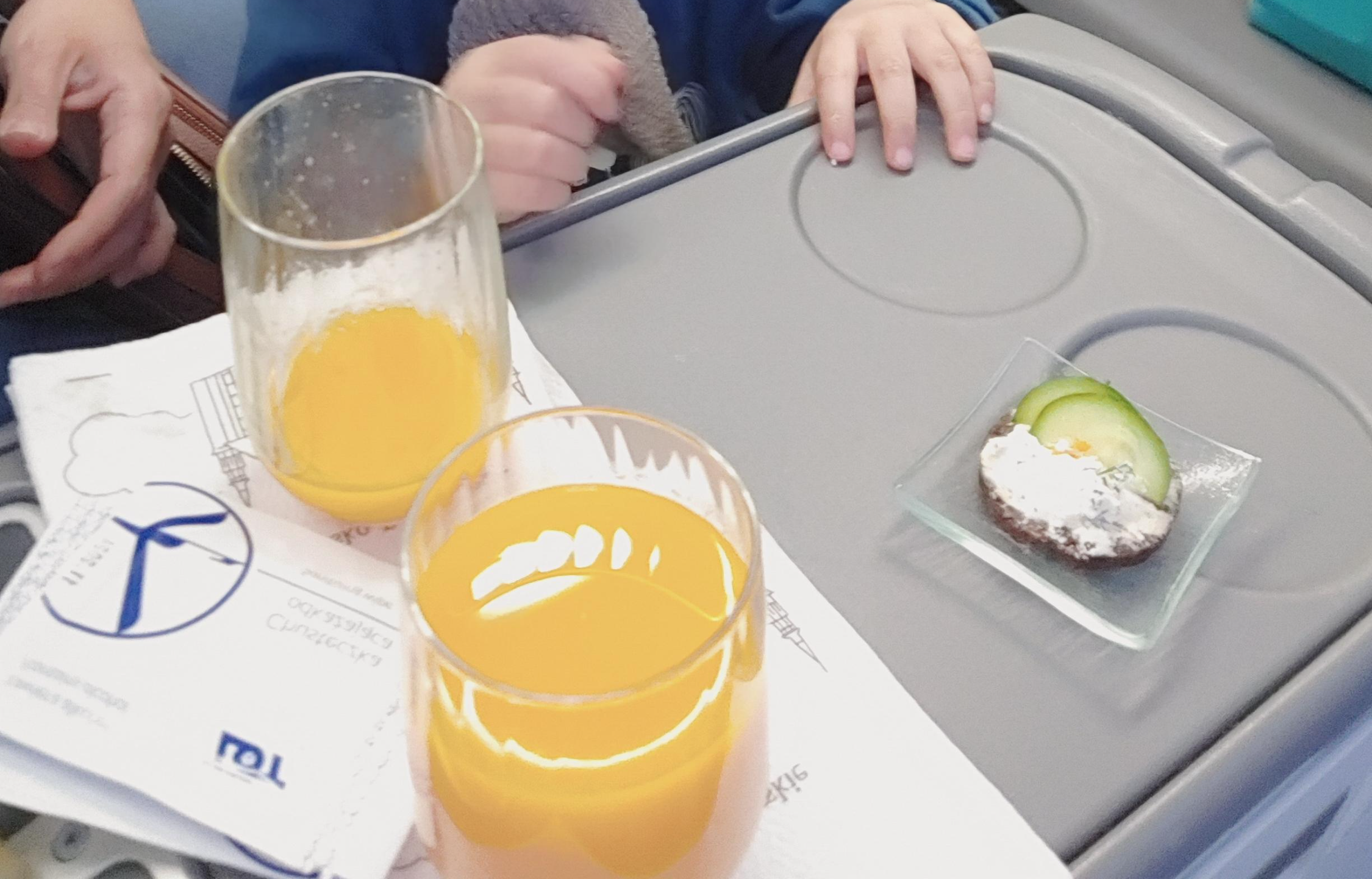 폴란드항공 비즈니스