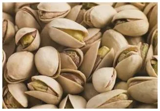 피스타치오 효능