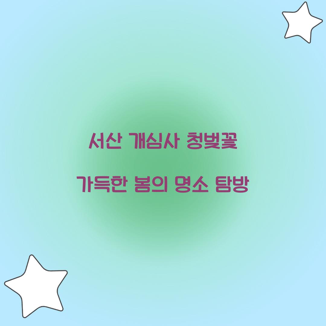서산 개심사 청벚꽃