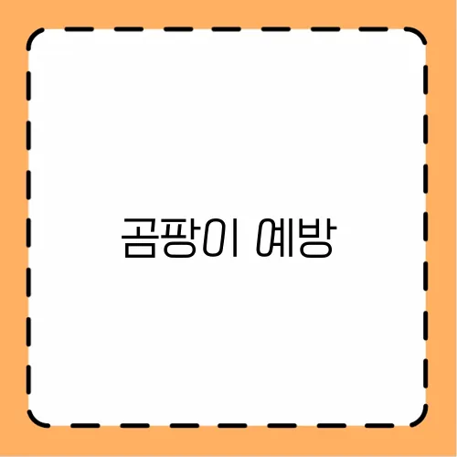 곰팡이 예방