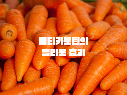 당근 베타카로틴