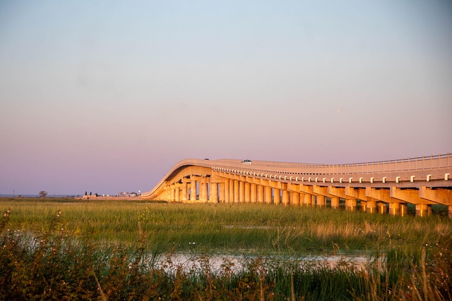 잠비아 루사카 브리지