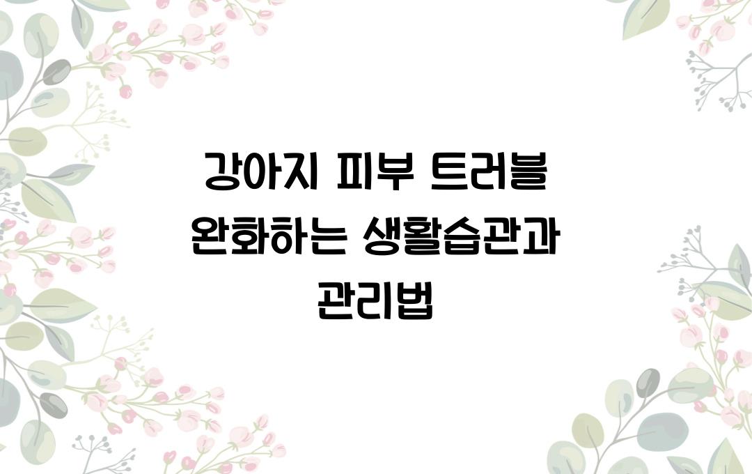 강아지 피부 트러블 완화하는 생활습관