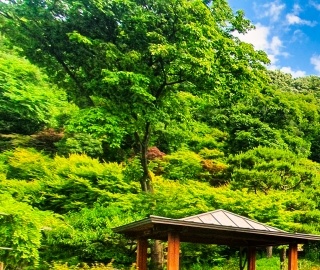 화담숲 예약 방법부터 운영시간까지! 방문 전 꼭 알아야 할 정보