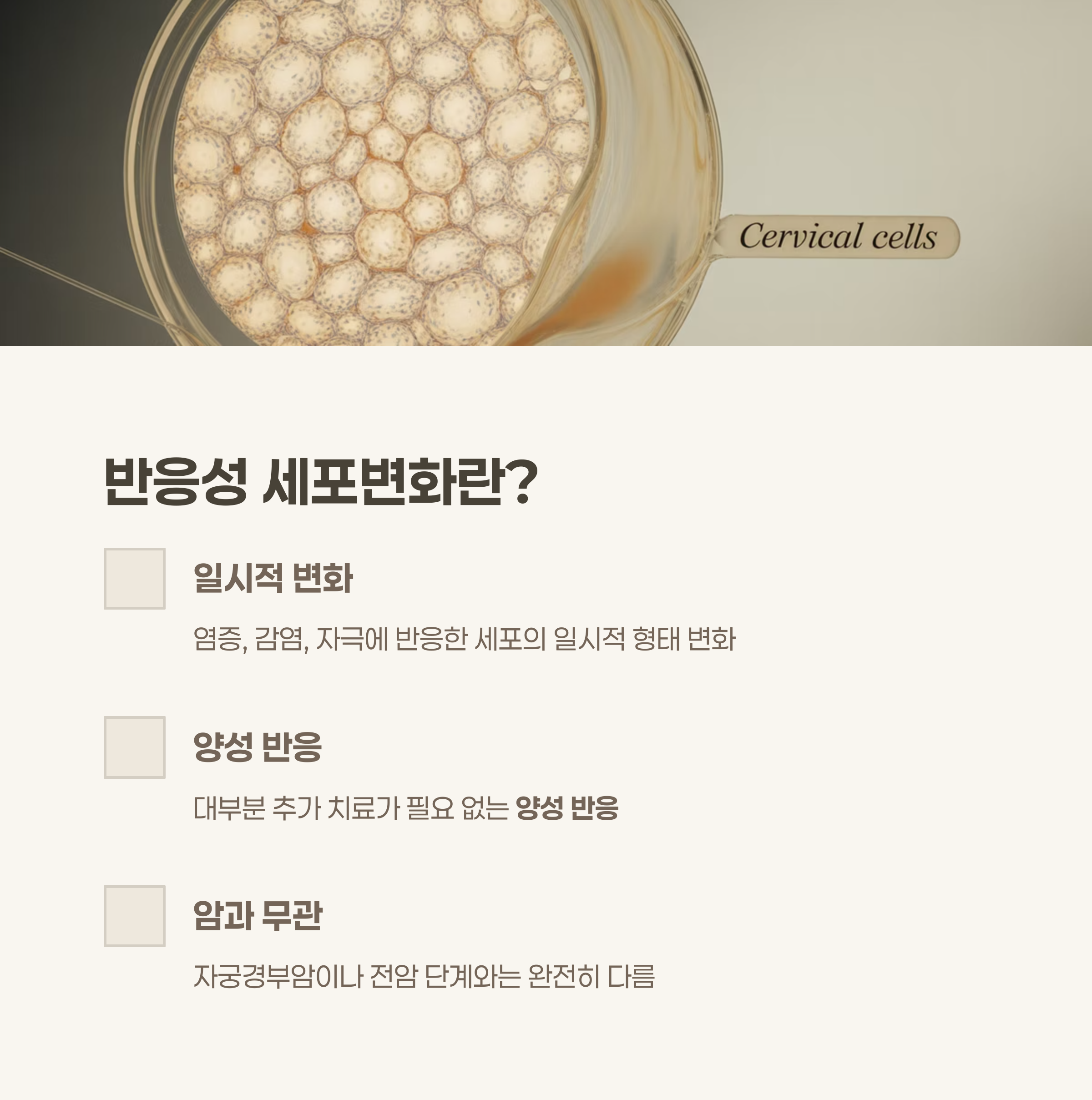 반응성 세포변화란 정확히 무엇인가요?