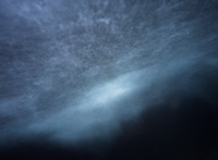 갤러리자인제노