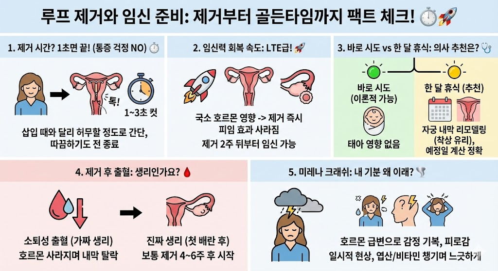 루프제거와 임신준비