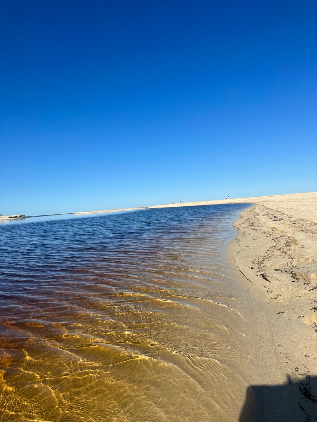 호주 퍼스 여행정보&amp;#44; 쿼카 로트네스트 섬&amp;#44; 칼바리 피나클스 투어
