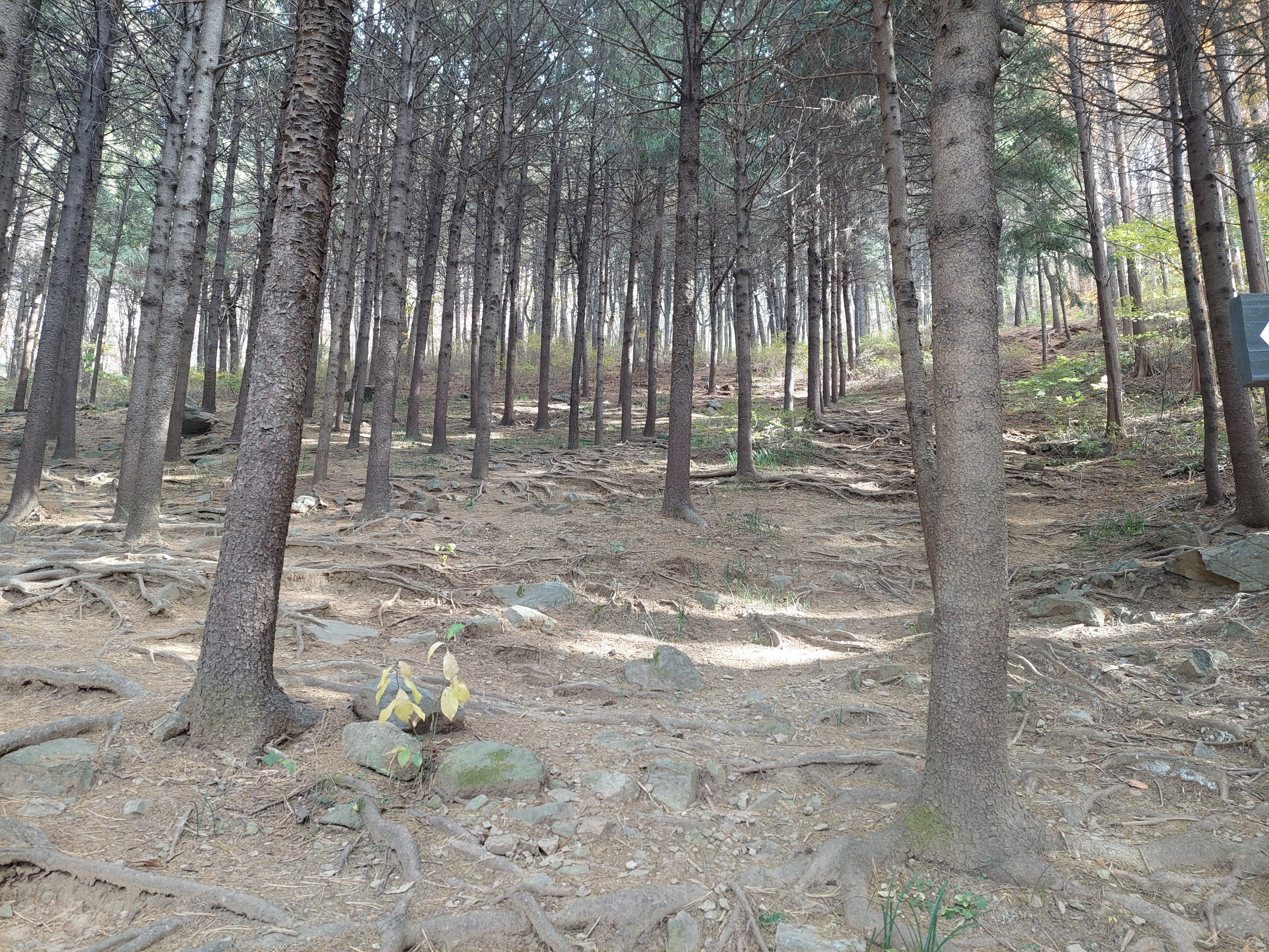 안산