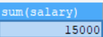 salary 실행 결과 확인