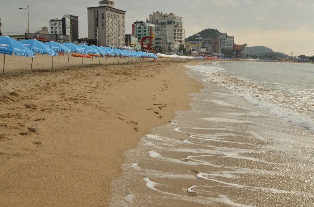 전국 해수욕장 개장