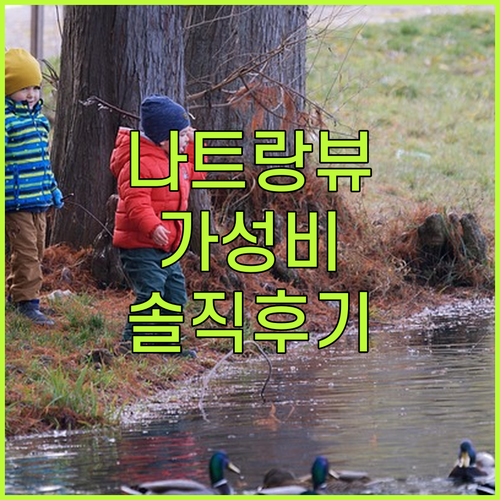 나트랑 뷰 맛집 하바나 호텔! 가성비