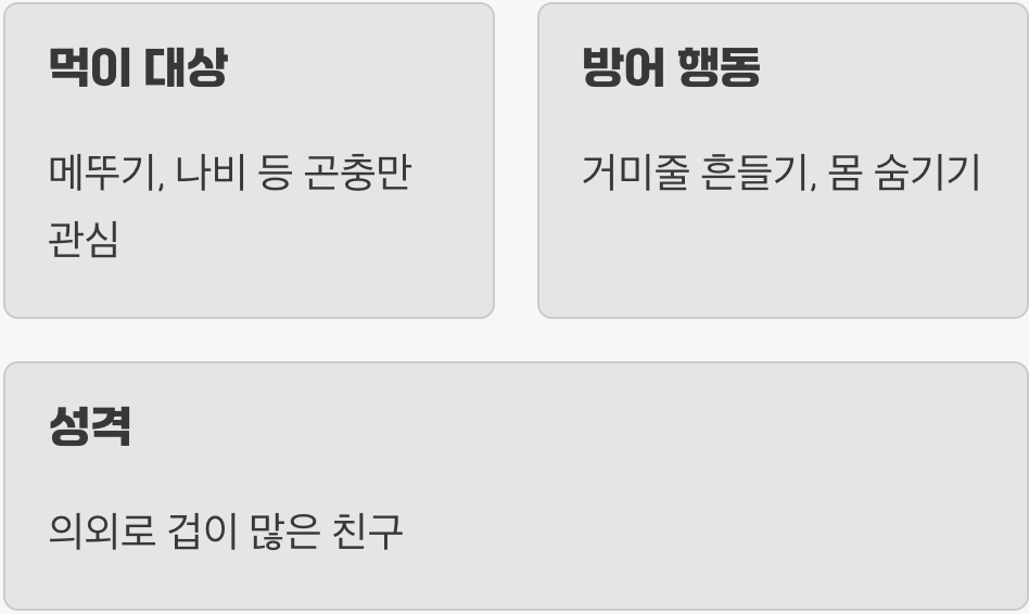 공격성? "관심 없어요"