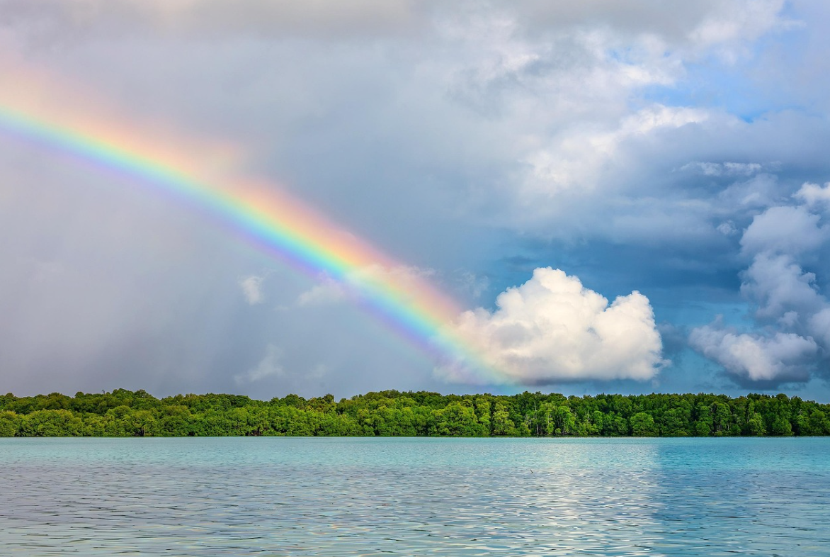 MSM 식이유황 효능