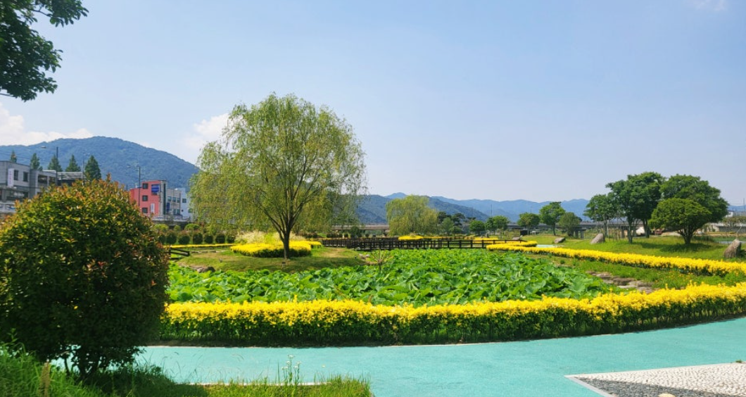 탐진강 생태습지공원