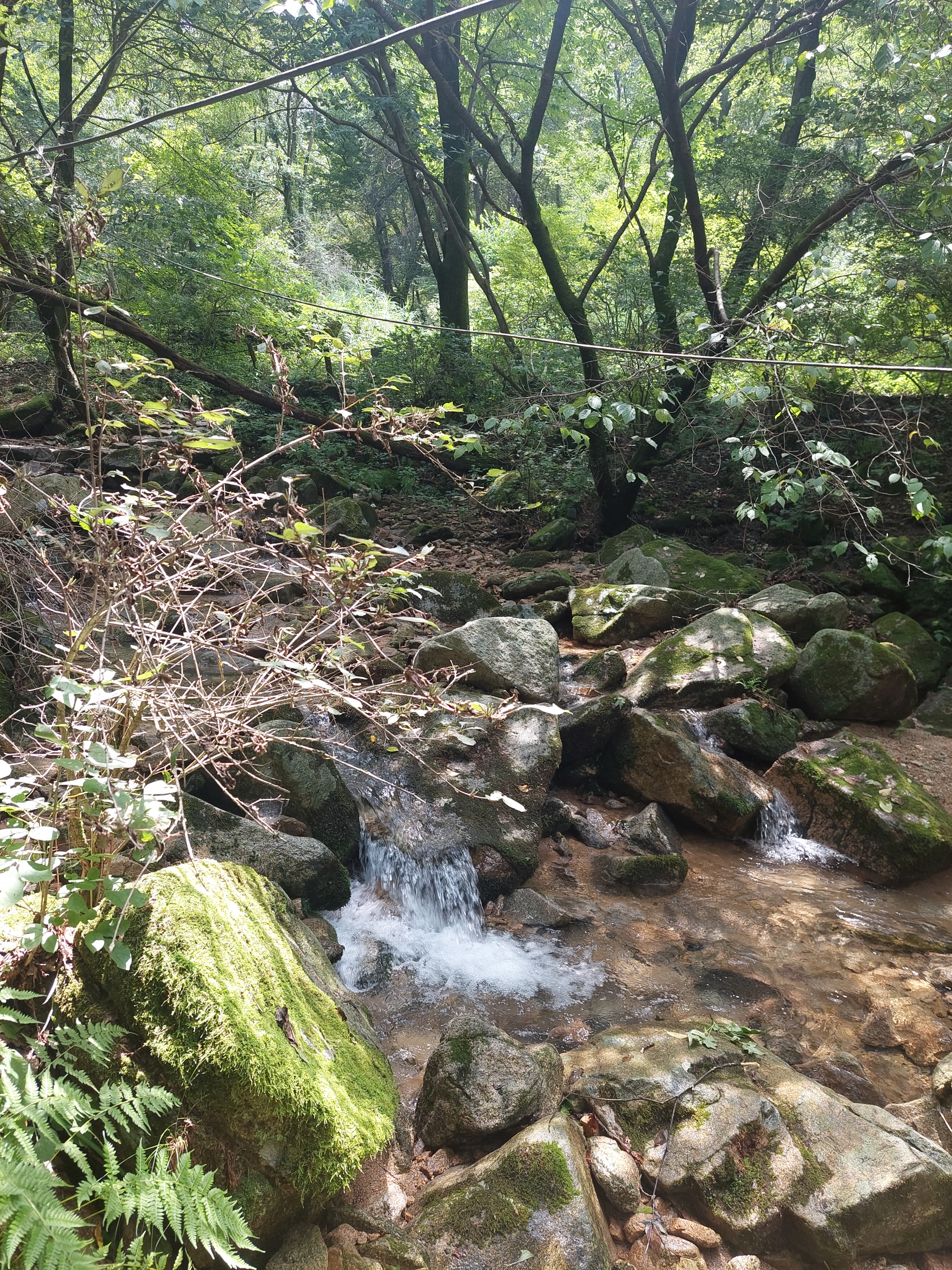 대남문
