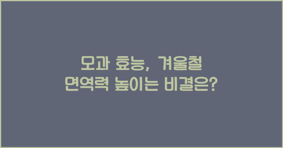 모과 효능