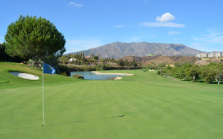 2024 파리올림픽 골프 경기 일정 및 중계 방송 안내