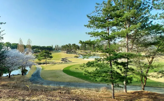 여주시 '솔모로 컨트리클럽' 소개 및 예약방법