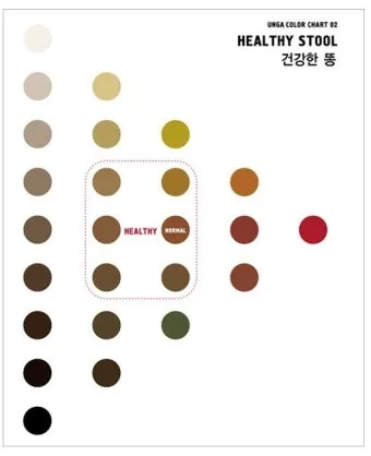 가는 똥 이유와 똥이 가늘게 나오는 이유 분석_23