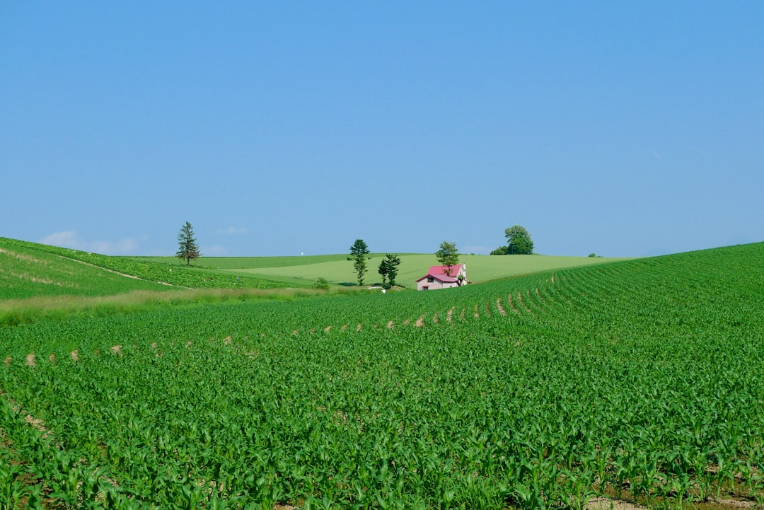 Smart Farm