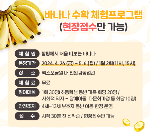 바나나 수확