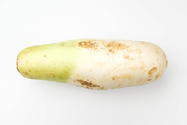 제철음식을 통한 건강 관리 - 계절음식 추천 TOP12