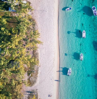 트래블 월렛 사용법